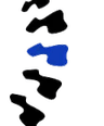 Pro-SCI spine mark