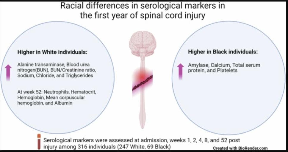 Figure from: Racial differences in serological markers across the first year of injury in spinal cord injury: a retrospective analysis of a multi-center interventional study